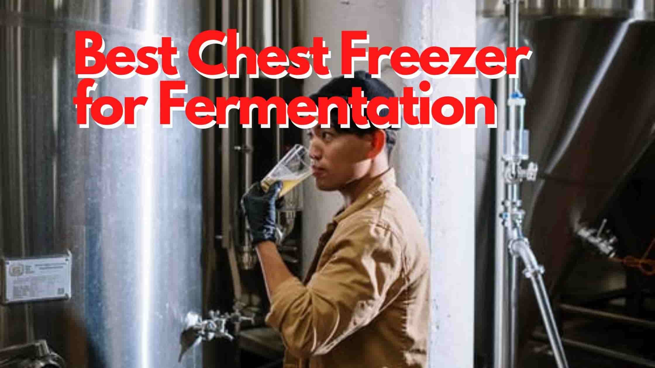 Best Chest Freezer for Fermentation