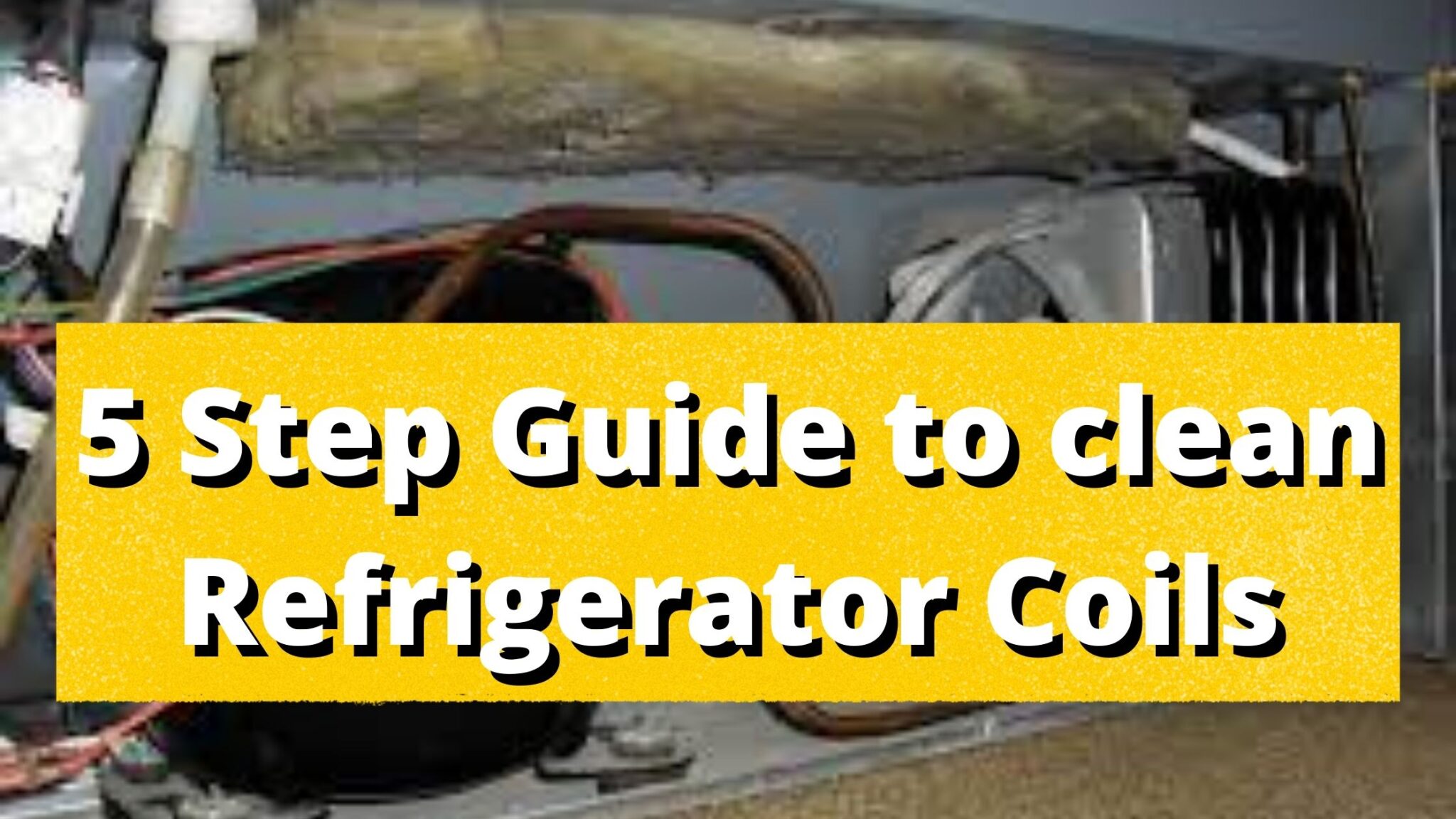 5 Steps Guide to Clean Refrigerator Coils Quickly Detailed With Video